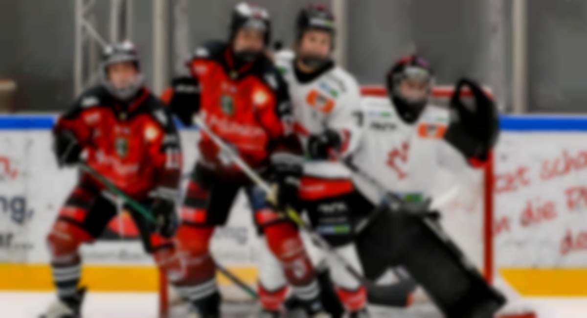 Auch in der kommenden Saison stehen sich die Memminger Indians und der HK Budapest in der DFEL gegenüber.